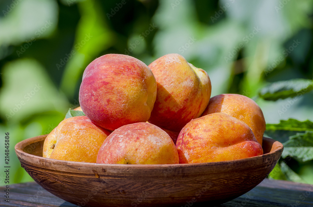 peaches in a bowl peaches in a bowl
