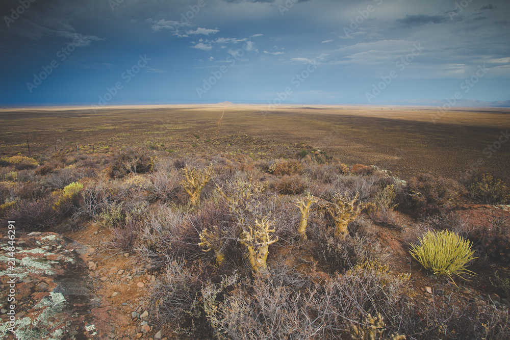 Panoramic views over the Tankwa Karoo Desert with dramatic thunderclouds in the sky Panoramic views over the Tankwa Karoo Desert with dramatic thunderclouds in the sky