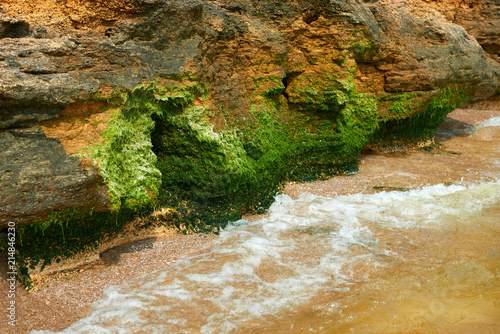 beautiful sea landscape, closeup of stone on the beach, sea coast with high hills, wild nature photo