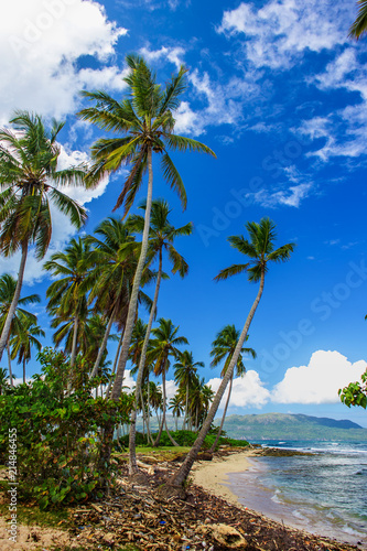 Tropical caribbean beach © Sandra