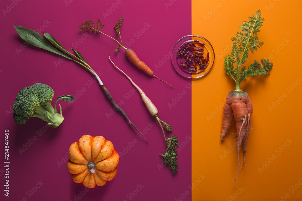Creative Layout of Various Vegetables on Dual Color Background - obrazy, fototapety, plakaty 