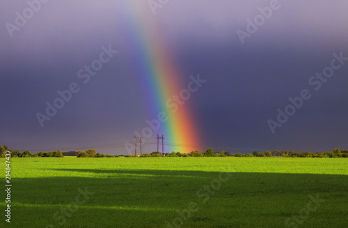 beautiful natural background with bright multicolored rainbow on the horizon ...