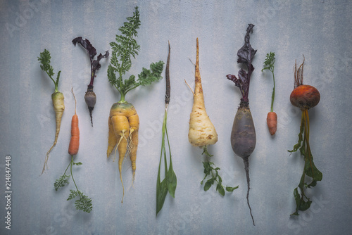 Organic Root Vegetable Composition on Rustic Background photo