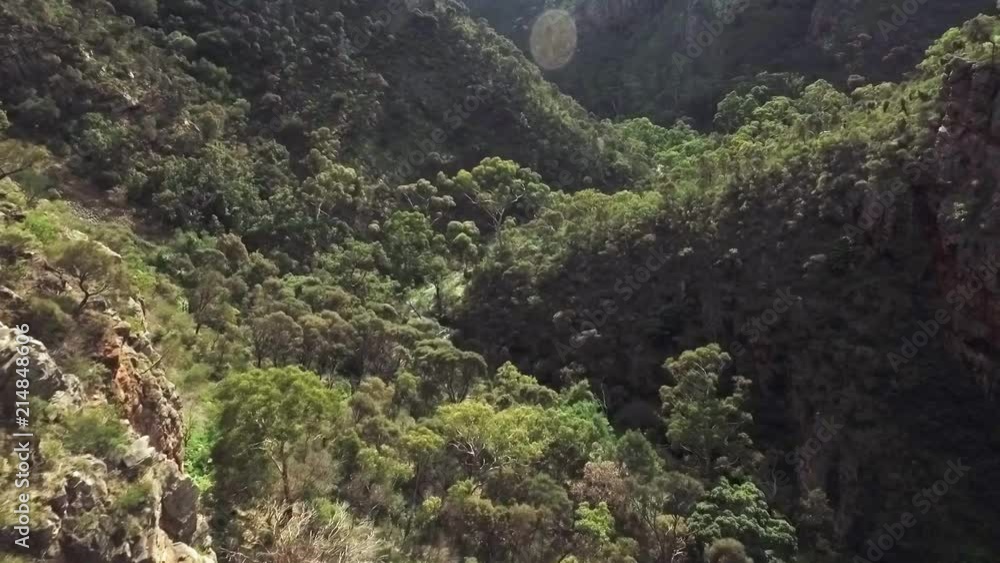 Aerial shot reversing over rugged gorge with spectacular rock formations and dense forest Aerial shot reversing over rugged gorge with spectacular rock formations and dense forest