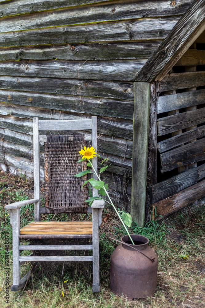 Rocking chair on the farm graced with a sunflower Rocking chair on the farm graced with a sunflower