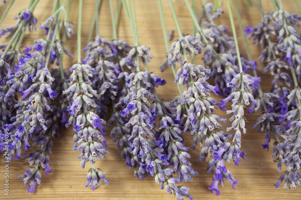 Fototapeta premium Fresh Lavender