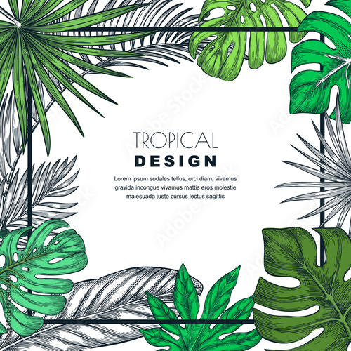 Tropical frame with palm leaves. Vector sketch illustration of jungle plants. Poster, banner, greeting card template.