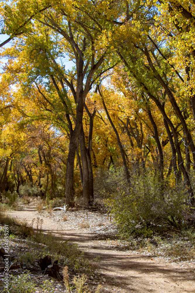 Southwestern fall colors