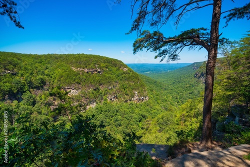 Принти на полотні Canyon overlook in scenic Appalachia