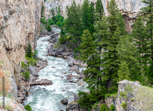 scenic Boulder River running through a steep rocky canyon  full of lush pine trees near Bozeman, Montana photo