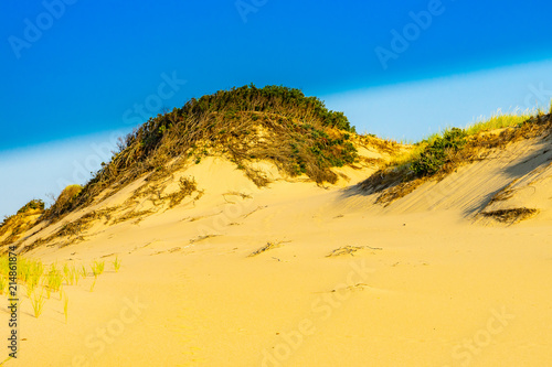 Sand Dunes and Grass of the Provincelands Cape Cod MA US.