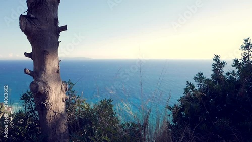 View from a hill of the sea with moving leafs. photo