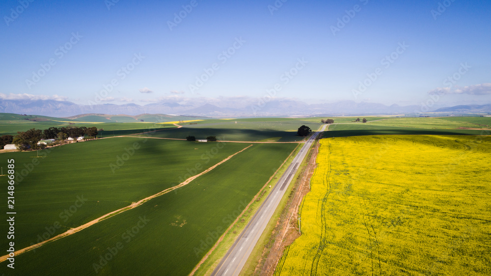 Aerial images over the canola and wheat fields in the Swartland of south africa Aerial images over the canola and wheat fields in the Swartland of south africa