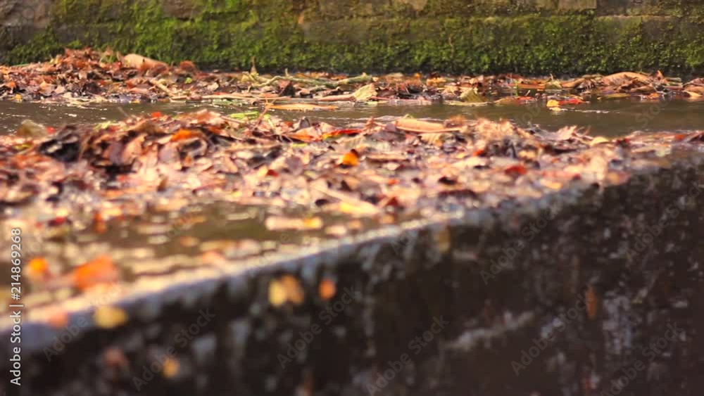 water flowing down a step,? with leaves in the water. water flowing down a step,? with leaves in the water.