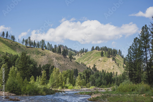 Boise River Summer Day