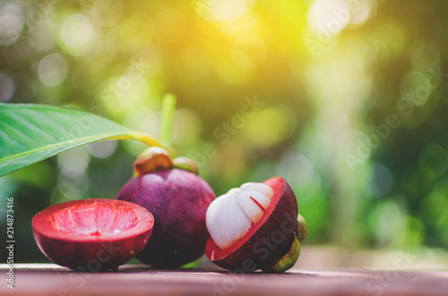 mangosteen photo