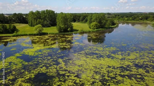 Lake outside Copenhagen photo