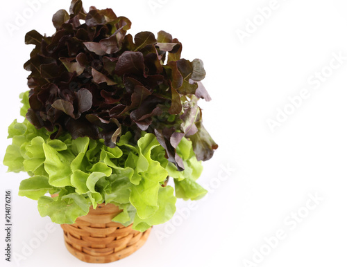 Salads in a basket with a white backdrop.