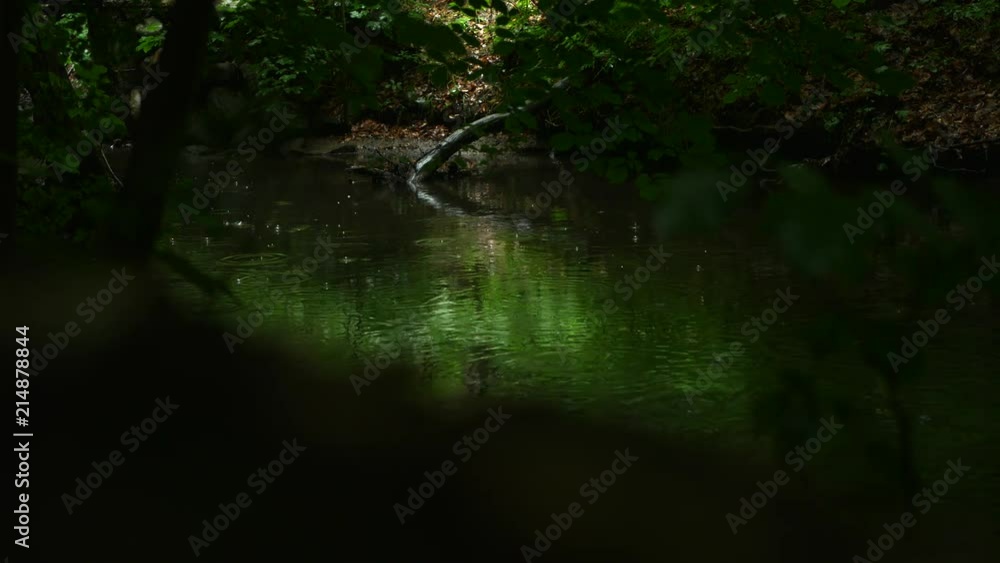 raining on mystery river in forest raining on mystery river in forest