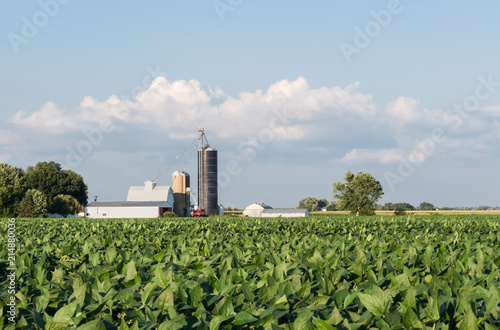 Soybeans growing in a field with a small, family farm in the background. Barn, silo, crib, and out buildings of a farm, with clouds gathering overhead. Concepts of agriculture, farming, trade war
