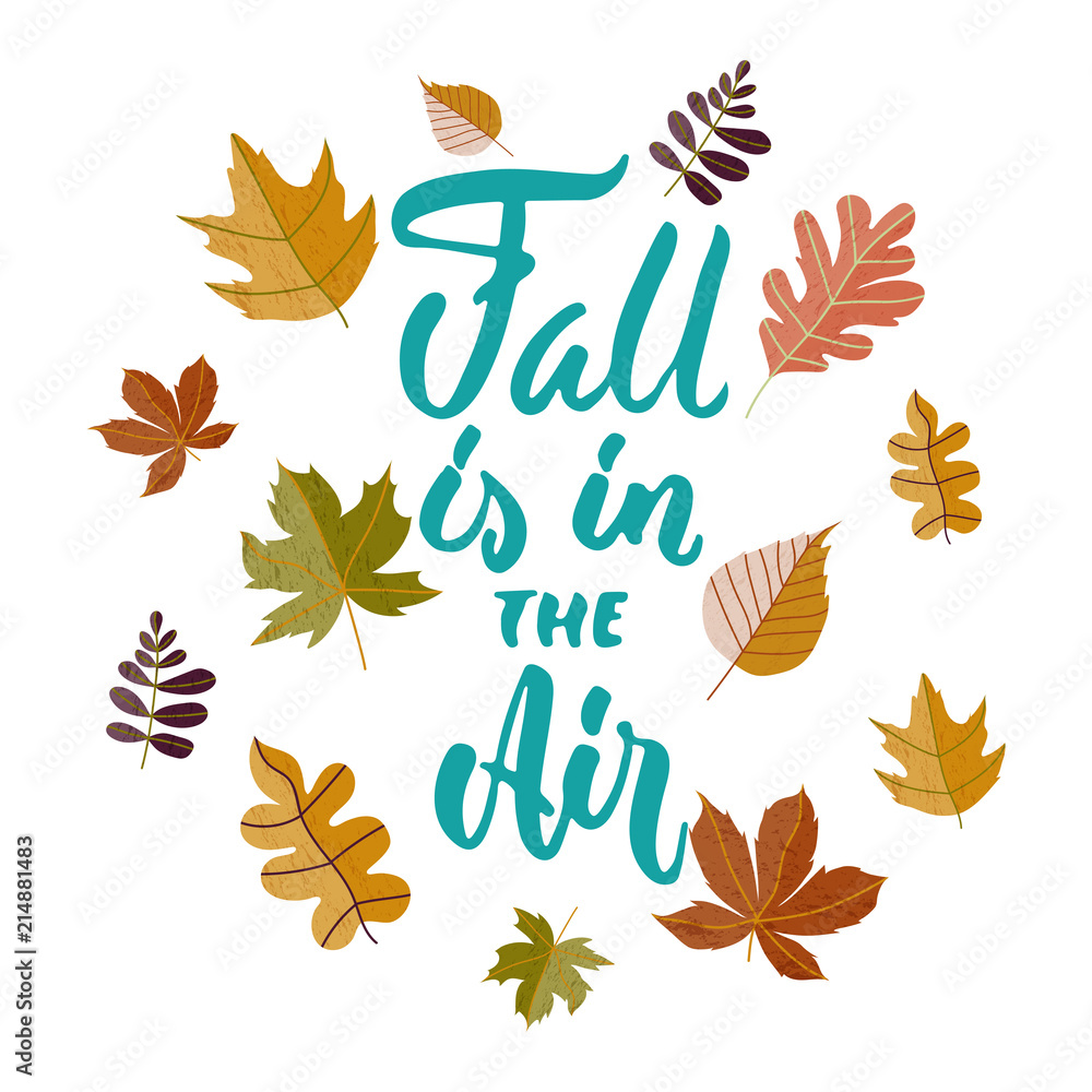Φωτογραφία Fall is in the Air - hand drawn cozy Autumn seasons holiday lettering phrase and leaves doodles isolated on the white background