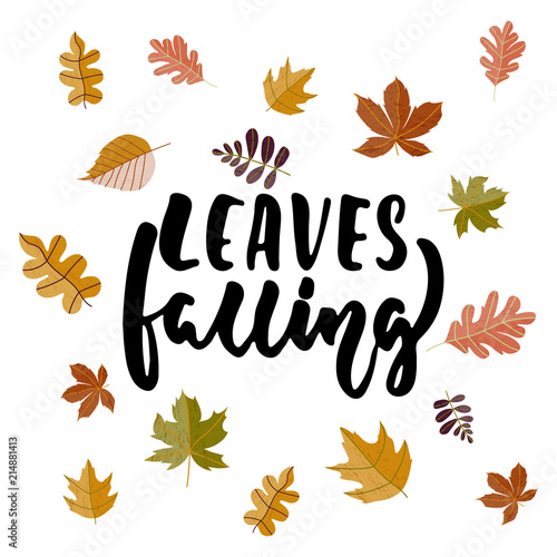 Leaves falling - hand drawn cozy Autumn seasons holiday lettering phrase and leaf doodles isolated on the white background. Fun brush ink vector illustration for banners, cards, posters design.