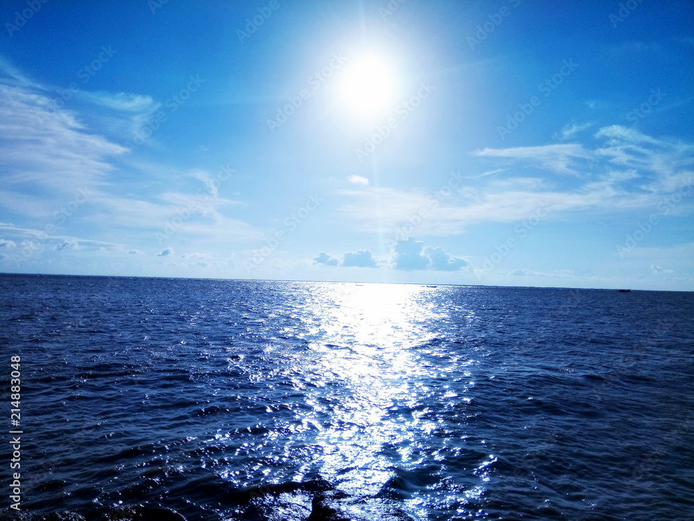 Obraz premium Shaheen