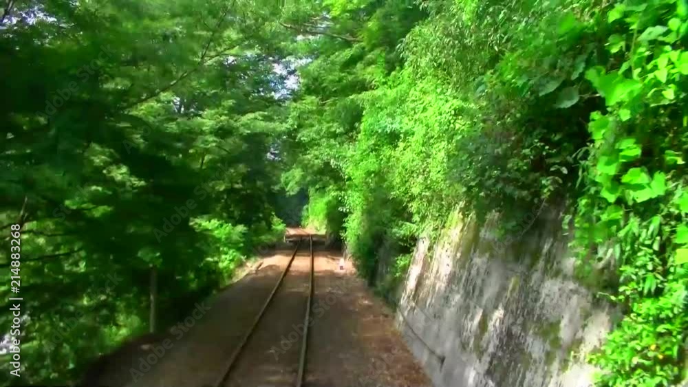緑のトンネルを走るローカル列車 緑のトンネルを走るローカル列車
