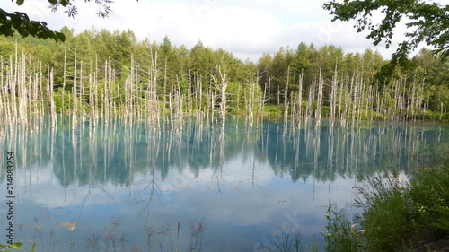 A breathtaking beautiful blue pond                                  