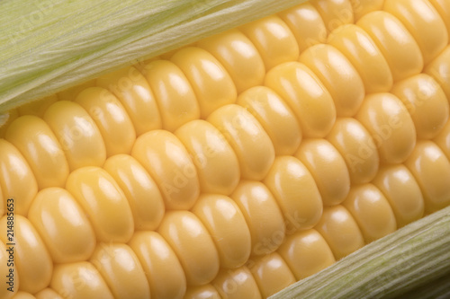 close-up of large grains of ripe corn in the cob