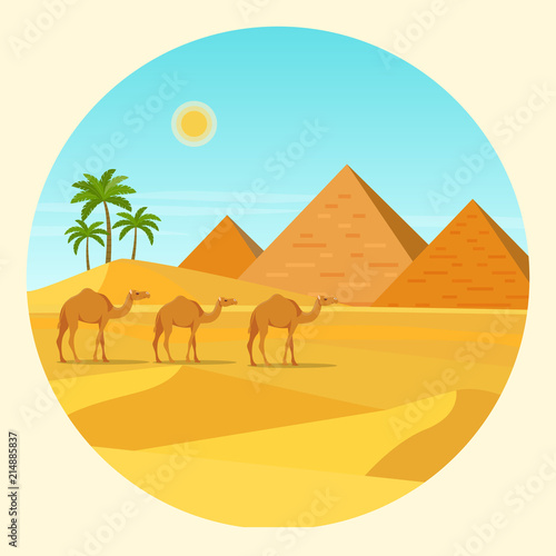 Camels in a desert with pyramids and palm trees. Vector flat style illustration