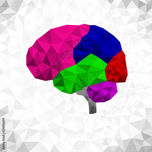 Human brain polygonal mosaic style