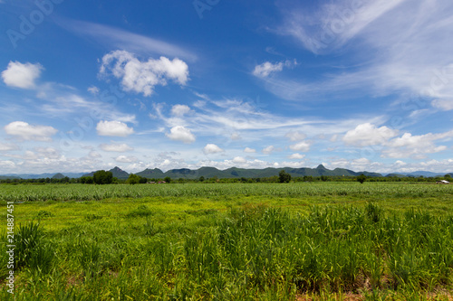panorama view green meadow in mountain and Beautiful blue sky of nature, Northern Thailand.