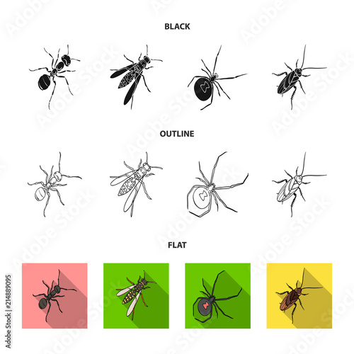 An insect arthropod, an osa, a spider, a cockroach. Insects set collection icons in black,flat,outline style vector symbol stock isometric illustration web.