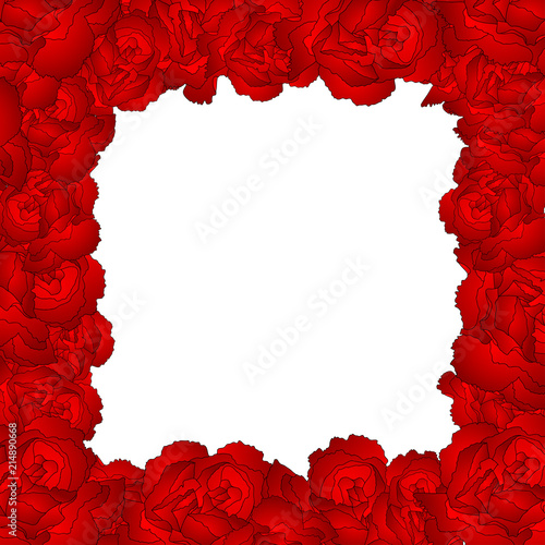 Dianthus caryophyllus - Red Carnation Flower Border.