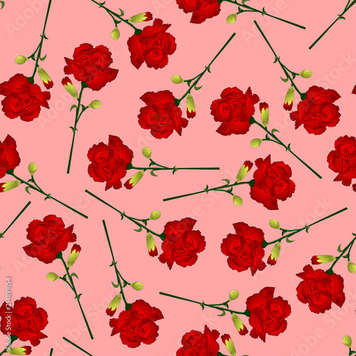 Red Carnation Flower on Pink Background