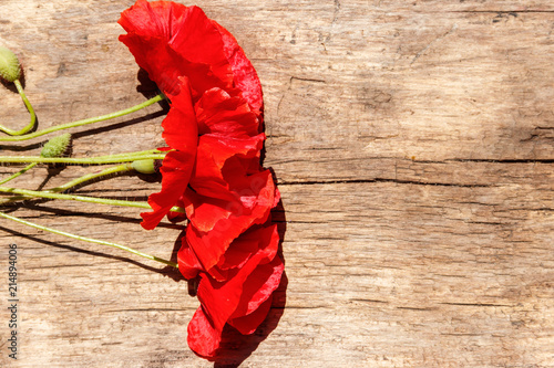Fototapeta Naklejka Na Ścianę i Meble -  Red poppy flowers on wooden background. Top view, copy space