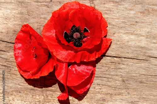 Fototapeta Naklejka Na Ścianę i Meble -  Red poppy flowers on wooden background. Top view, copy space