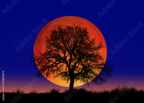 Big bloody red moon- Lunar eclipse "Elements of this image furnished by NASA " © muratart