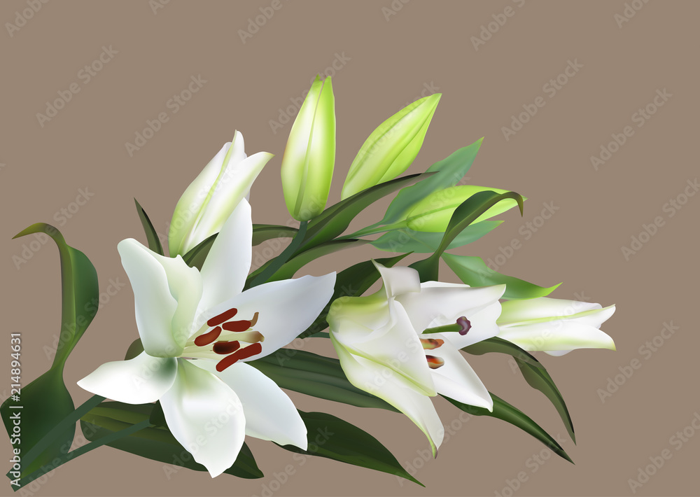 white green lily flowers on brown white green lily flowers on brown
