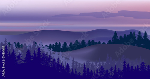 dark blue fir forest landscape