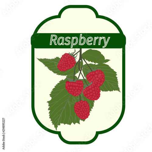 Vector raspberry label
