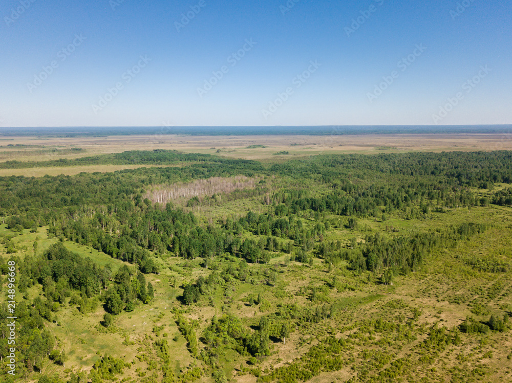 Nice aerial view of green field Nice aerial view of green field