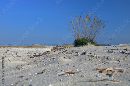 Pejzaż pustynny, jasny piasek, małe kamyki na piasku, mała kępa trawy, błękitne czyste niebo, nikgo