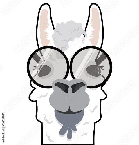 Head Alpaca funny vector