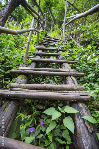 Bamboo staircase