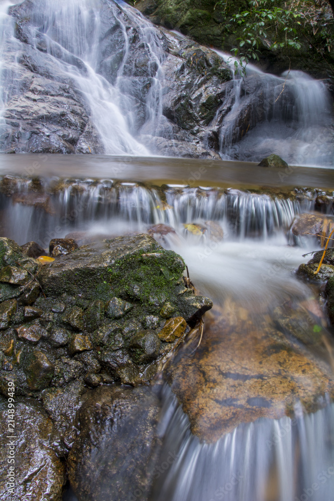 Fototapeta premium Painting is self