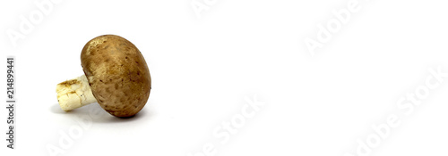 Wallpaper Mural frischer champignon pilz liegend alleinstehend isoliert mit weißem hintergrund Torontodigital.ca