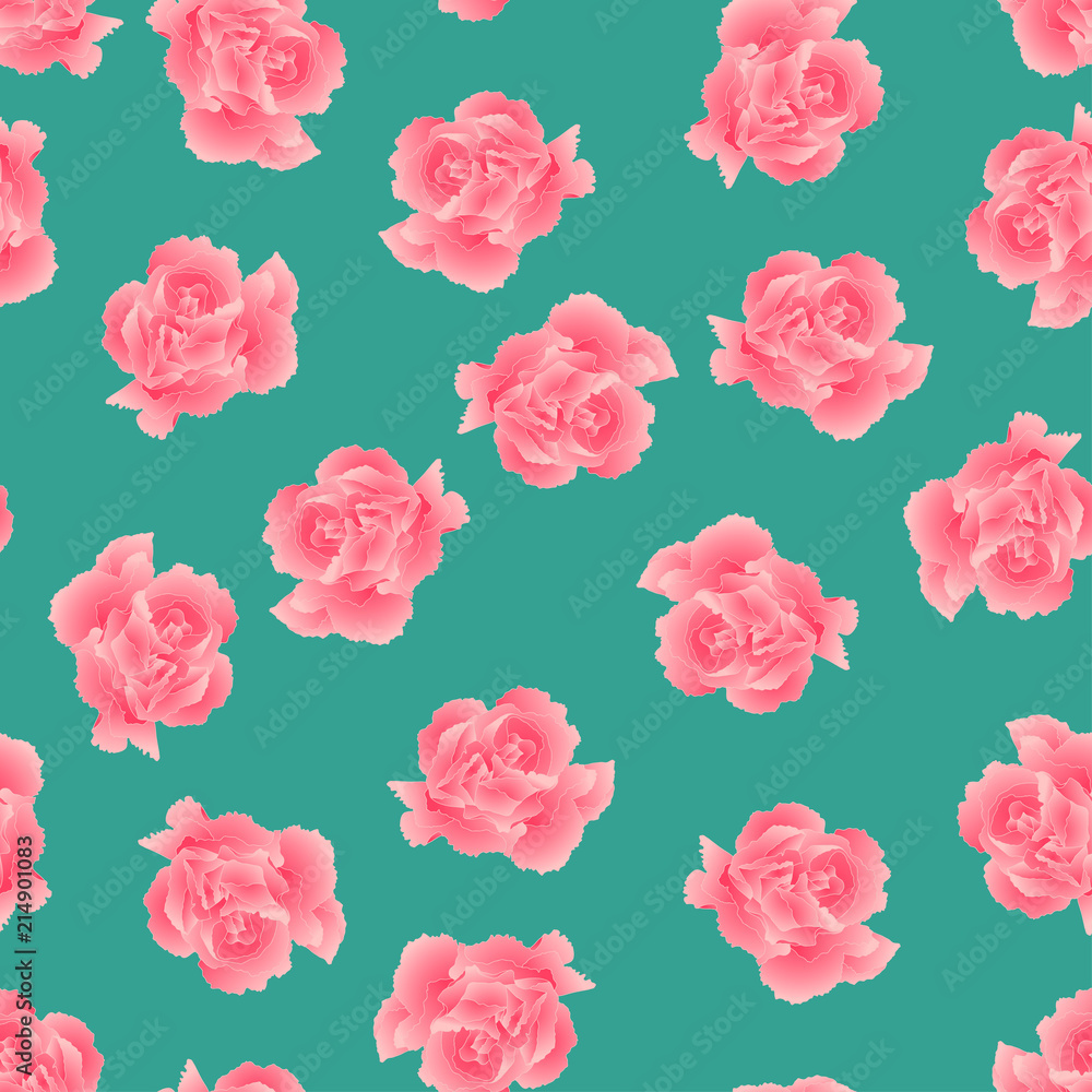 Dianthus caryophyllus - Pink Carnation Flower on Green Background. Dianthus caryophyllus - Pink Carnation Flower on Green Background.