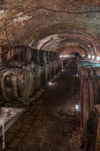 Barrels of wine in the cellar, Slovakia 1